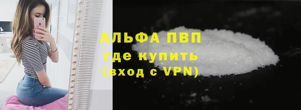 ПСИЛОЦИБИНОВЫЕ ГРИБЫ Бородино