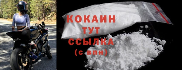 ПСИЛОЦИБИНОВЫЕ ГРИБЫ Бородино